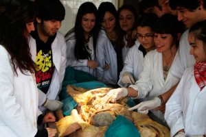 medicina-ull-cuerpos-2
